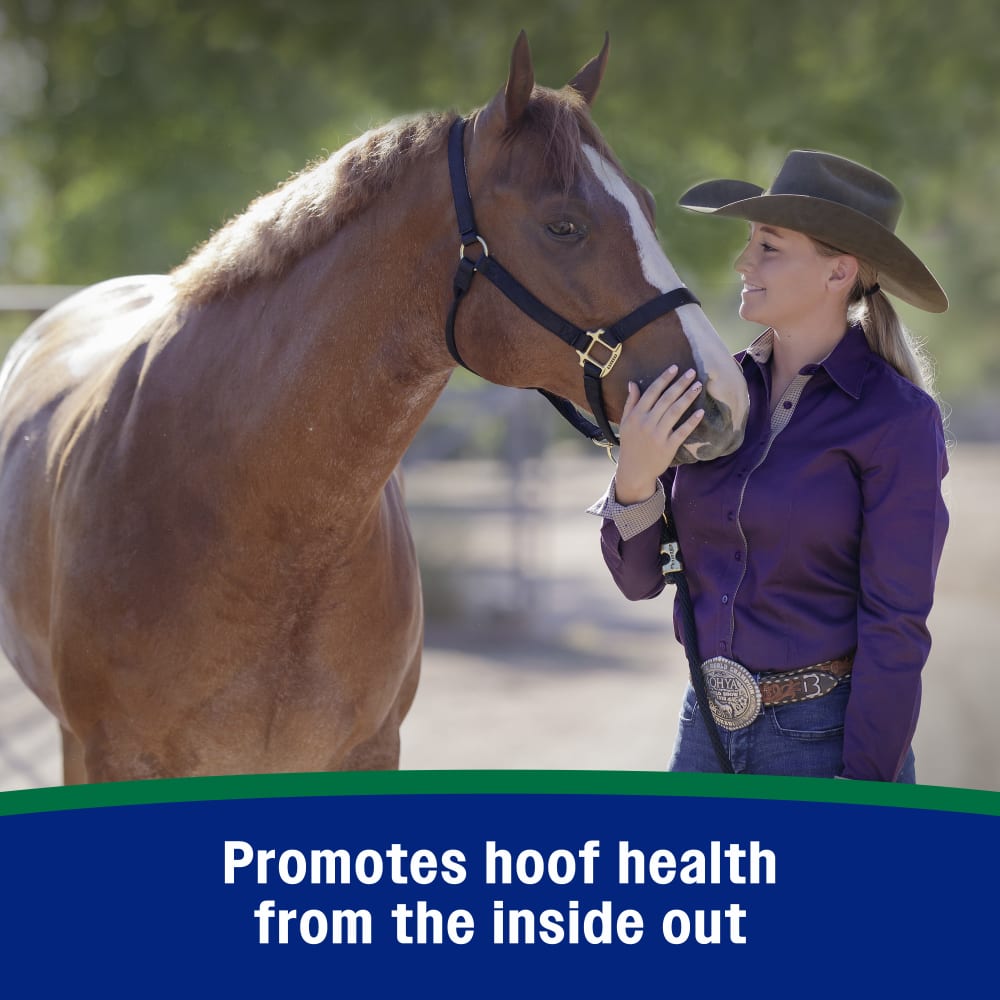 Farnam Horseshoer's Secret Pelleted Hoof Supplement for Horses 11lb