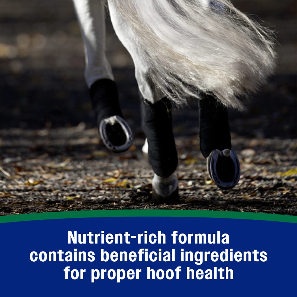Farnam Horseshoer's Secret Pelleted Hoof Supplement for Horses 11lb