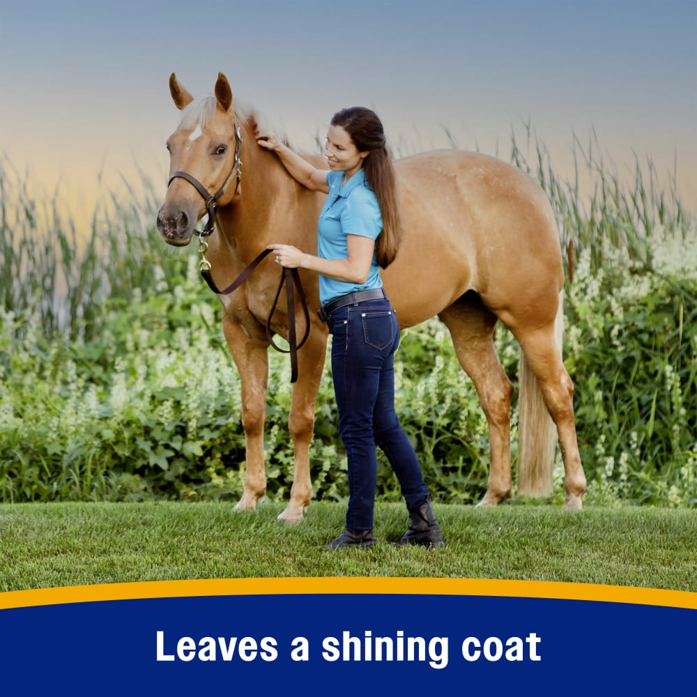 Farnam Bronco Gold Horse Fly Spray & Coat Conditioner 1gal