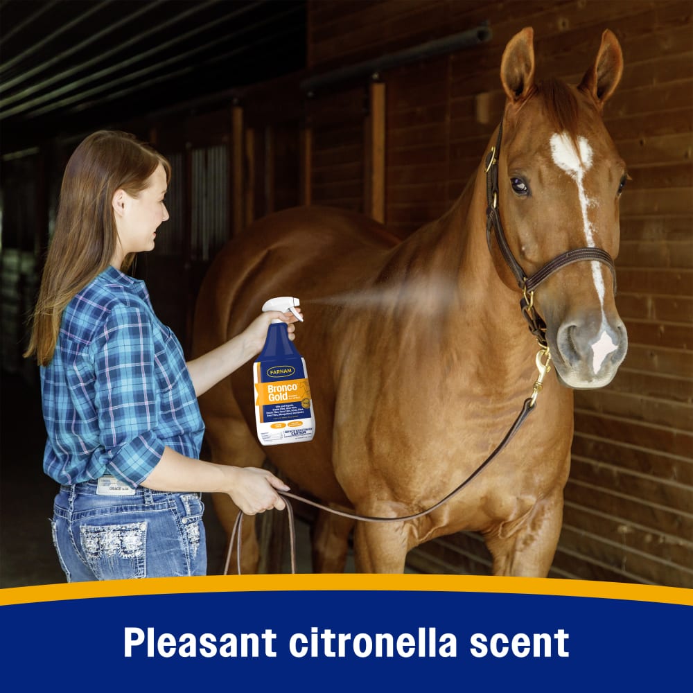 Farnam Bronco Gold Horse Fly Spray & Coat Conditioner 1gal