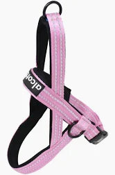 Alcott NOR HNS MD PK