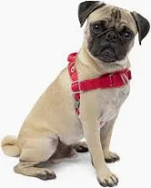 Alcott NOR HNS SM RD