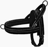 Alcott NOR HNS XL BL