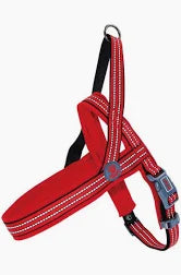 Alcott NOR HNS XL RD