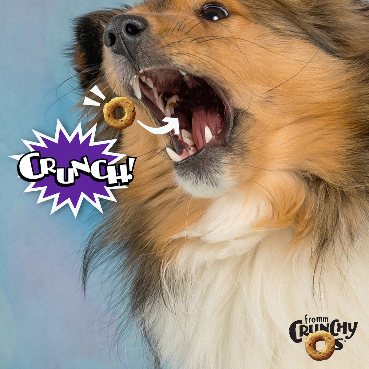 Fromm Crunchy O's Smokin' CheesePlosions Flavored Dog Treats 6oz