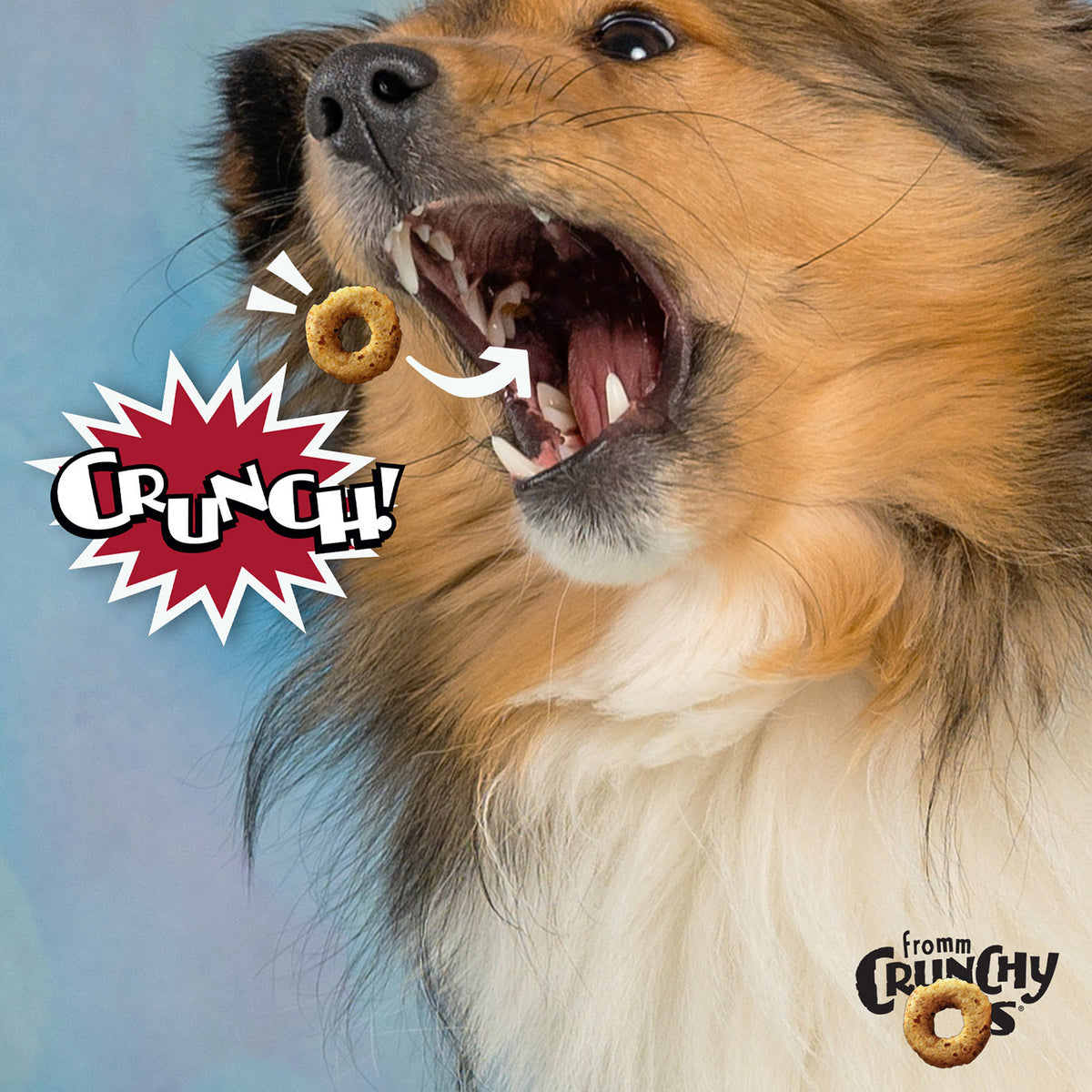 Fromm Crunchy O's Pot Roast Punchers Flavored Dog Treats 6oz