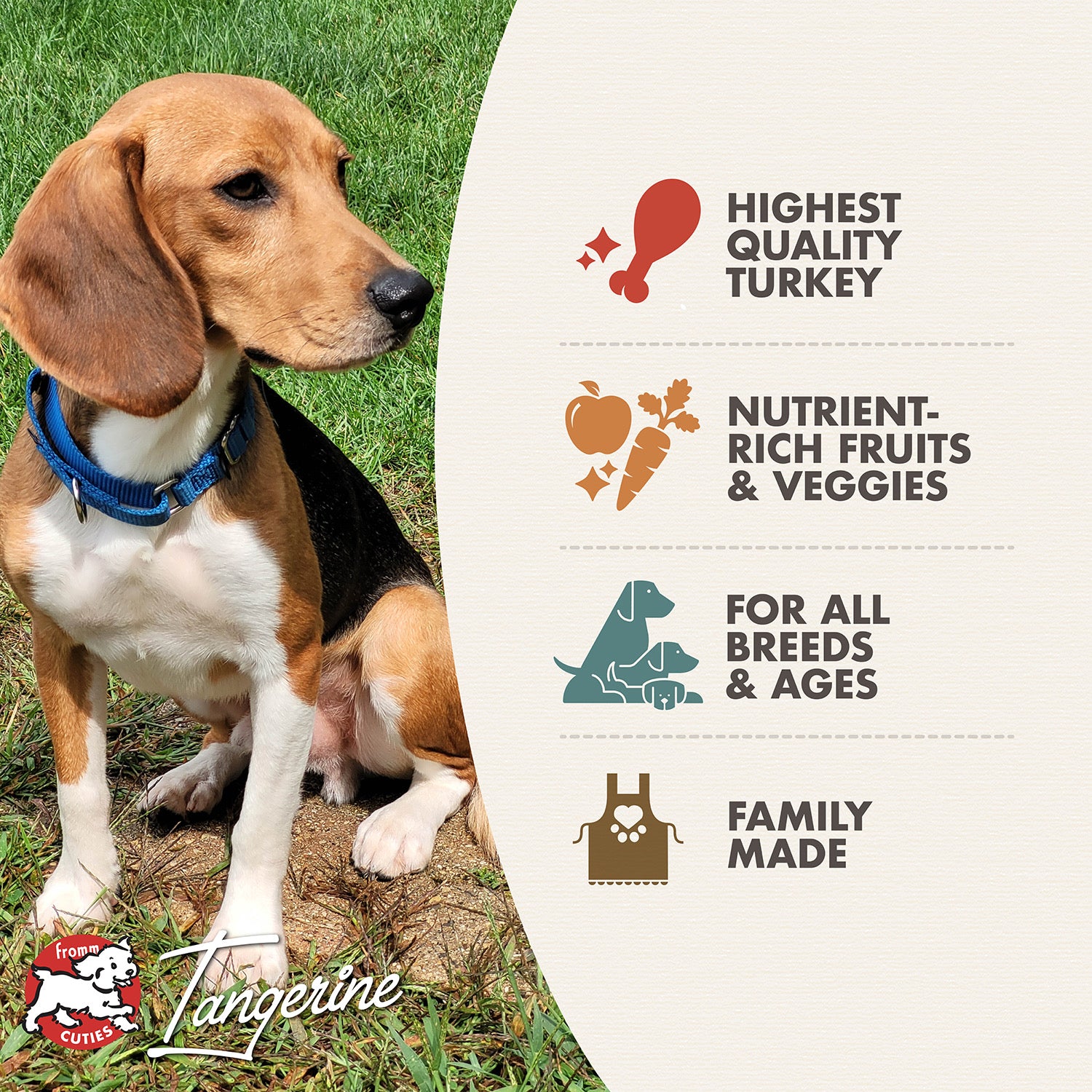 Fromm Four-Star Game Bird Recipe Dry Dog Food 26lb