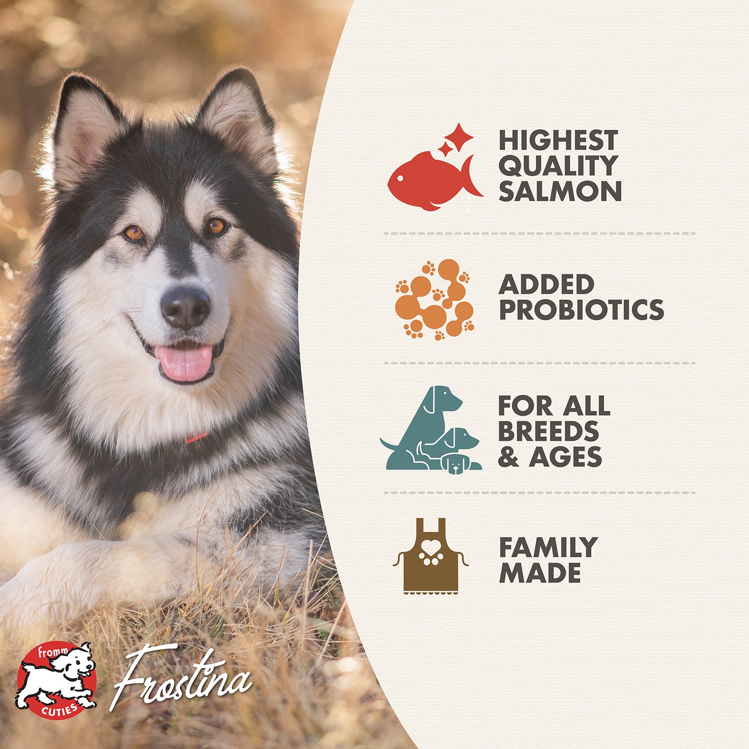 Fromm Four-Star Salmon Tunalini Recipe Dry Dog Food 4lb