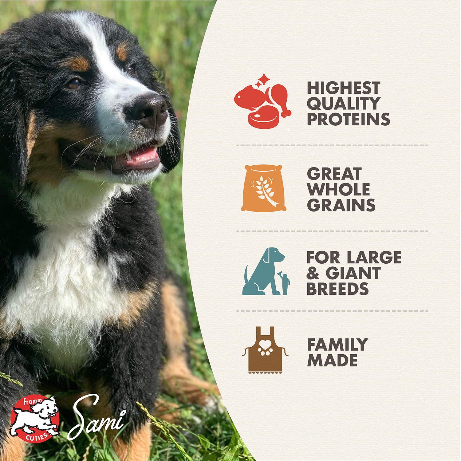 Fromm Gold Large Breed Puppy Dry Dog Food 15lb