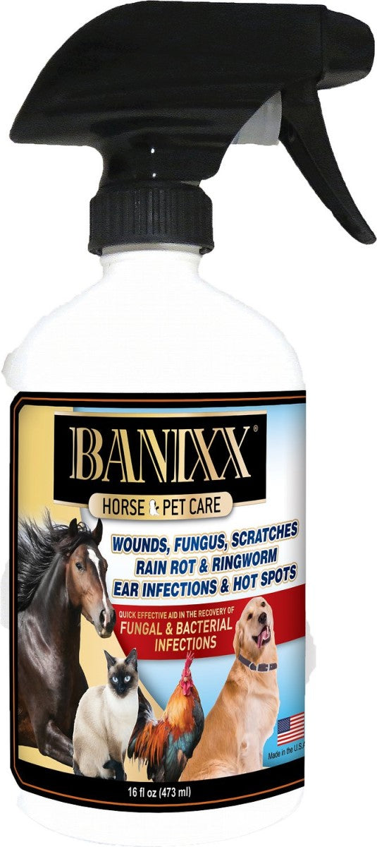 BANIXX WOUND CARE 16 OZ