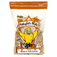 NW PEANUT IN SHELL 10#