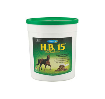 H.B. 15   3 LB