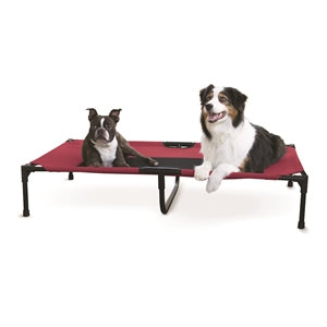 Elevated Pet Bed 32X50