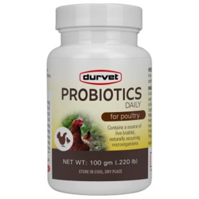 PROBIOTICS DAILY POULTRY 100gm