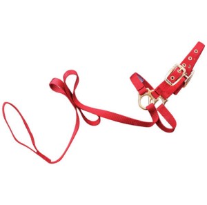 SHEEP HALTER W/LEAD RED