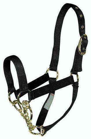 COW YEARL HALTER CONTROL GRN