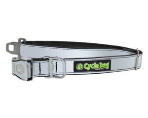 CDOG Collar Max Refl SLV Reg M