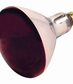 HEAT LAMP RED BULB 250W satco