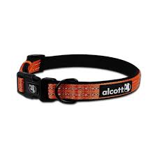 Collar Alcott CLR LG ES NO