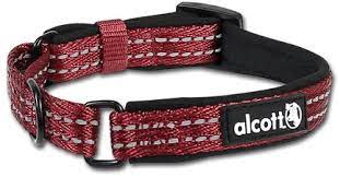 Collar Alcott MCLR ES SM RD