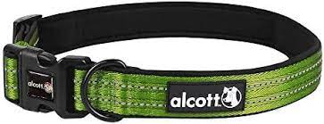 Collar Alcott CLR XL AC GR