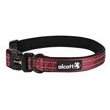 Collar Alcott CLR XL AC BR