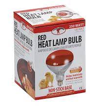 HEAT LAMP RED BULB 250W 170024