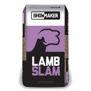 LAMB SLAM 50