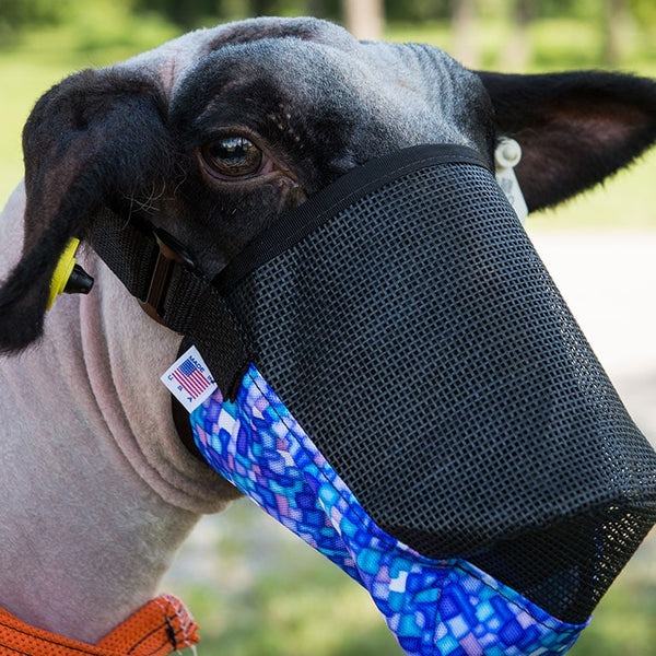 Lamb muzzle shop
