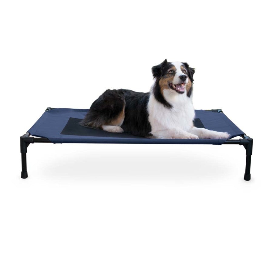 Elevated Pet Bed 30x42