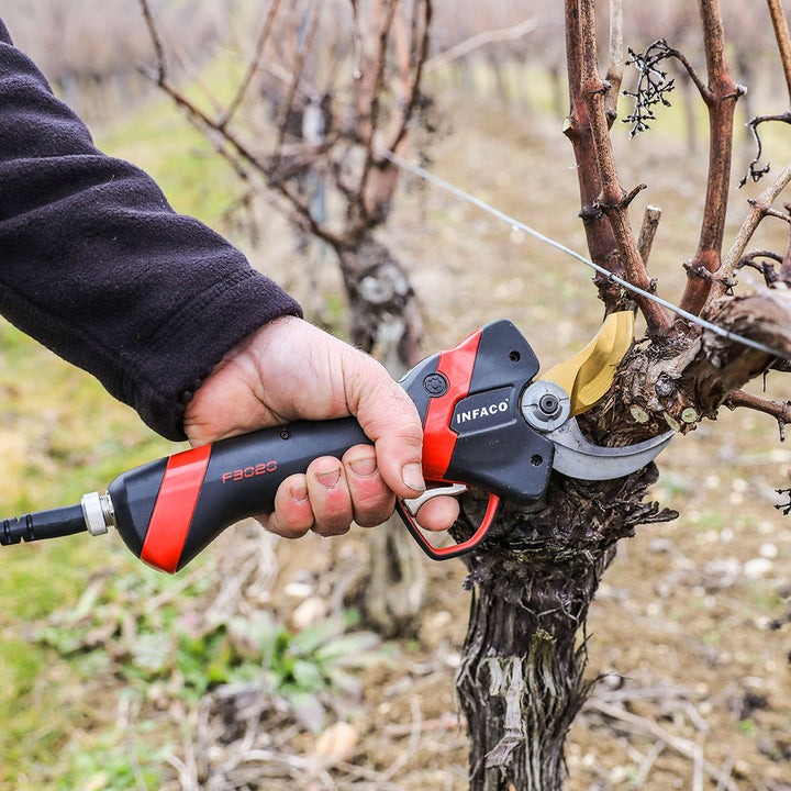 Standard Cutting Shears