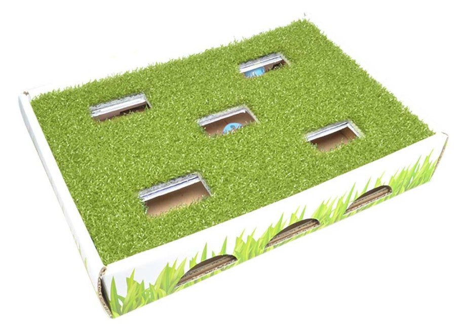 Grass Patch Hunting Box